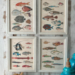 Stampe con cornice in legno Coastal Mood set da 4 - OrchideaMilano1981