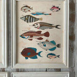 Stampe con cornice in legno Coastal Mood set da 4 - OrchideaMilano1981