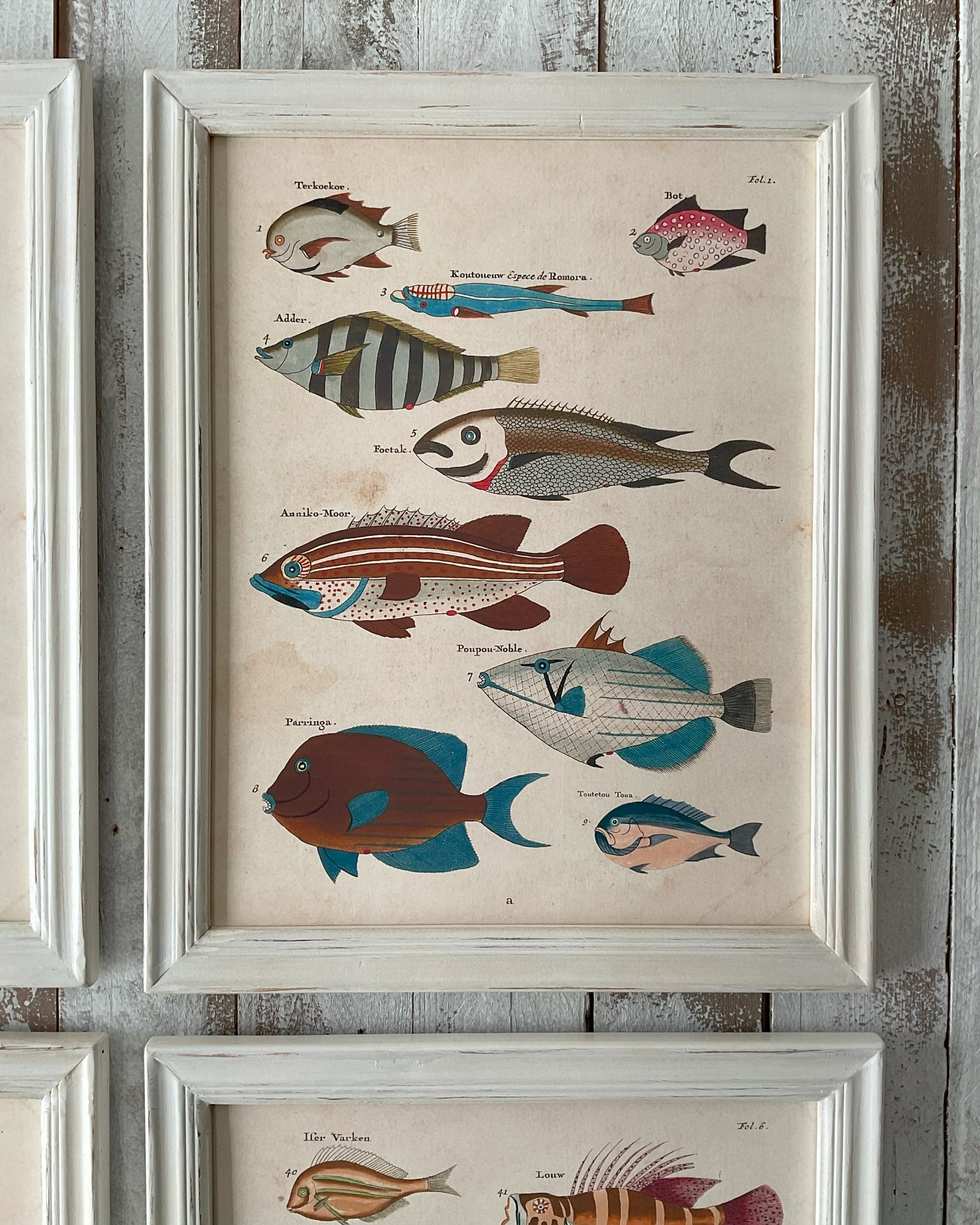 Stampe con cornice in legno Coastal Mood set da 4 - OrchideaMilano1981