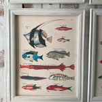 Stampe con cornice in legno Coastal Mood set da 4 - OrchideaMilano1981