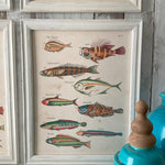 Stampe con cornice in legno Coastal Mood set da 4 - OrchideaMilano1981