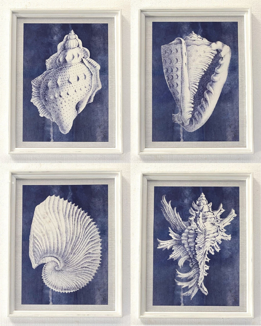 Stampe con cornice in legno Coastal Mood set da 4 - OrchideaMilano1981