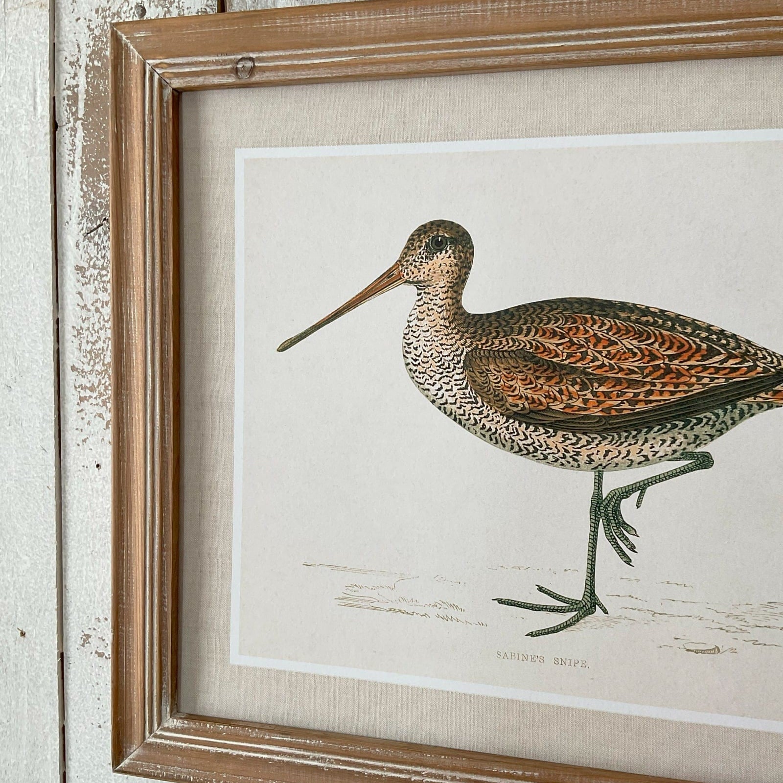 Stampe con cornice in legno Country Birds set di 2 - OrchideaMilano1981
