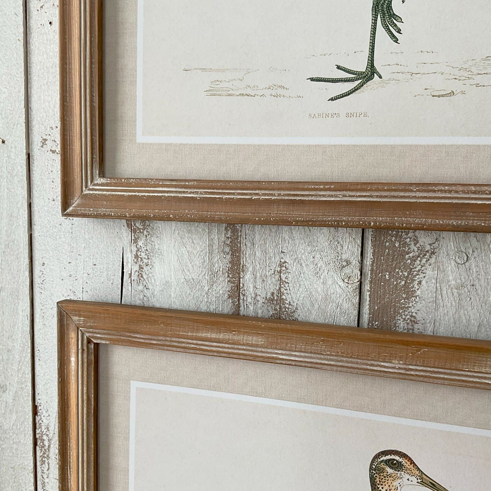 Stampe con cornice in legno Country Birds set di 2 - OrchideaMilano1981