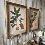 Stampe con cornice in legno Country Side set da 2 - OrchideaMilano1981