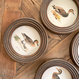 Stampe con cornice in legno Country Side set da 4 - OrchideaMilano1981