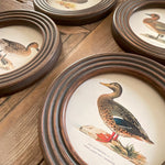 Stampe con cornice in legno Country Side set da 4 - OrchideaMilano1981