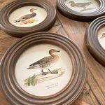 Stampe con cornice in legno Country Side set da 4 - OrchideaMilano1981