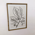 Stampe con cornice in legno Drawings set da 4 - OrchideaMilano1981