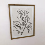 Stampe con cornice in legno Drawings set da 4 - OrchideaMilano1981