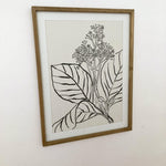Stampe con cornice in legno Drawings set da 4 - OrchideaMilano1981