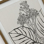 Stampe con cornice in legno Drawings set da 4 - OrchideaMilano1981
