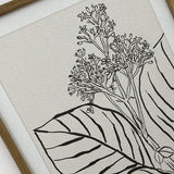 Stampe con cornice in legno Drawings set da 4 - OrchideaMilano1981
