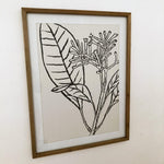 Stampe con cornice in legno Drawings set da 4 - OrchideaMilano1981