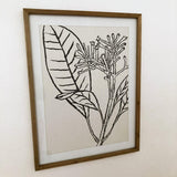 Stampe con cornice in legno Drawings set da 4 - OrchideaMilano1981