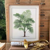 Stampe con cornice in legno Palm Tree set da 4 - OrchideaMilano1981