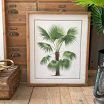 Stampe con cornice in legno Palm Tree set da 4 - OrchideaMilano1981