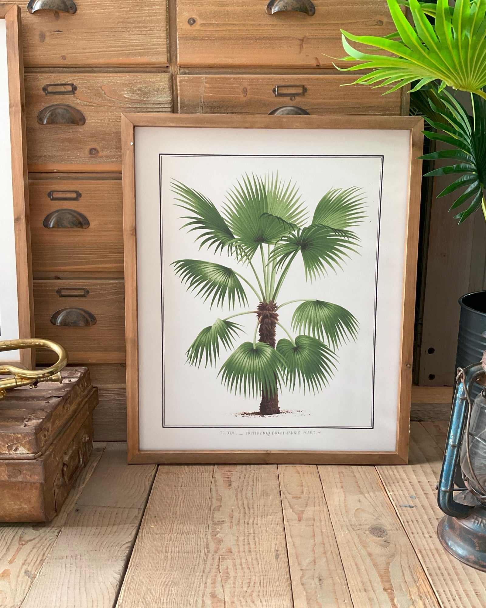 Stampe con cornice in legno Palm Tree set da 4 - OrchideaMilano1981