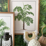 Stampe con cornice in legno Palm Tree set da 4 - OrchideaMilano1981