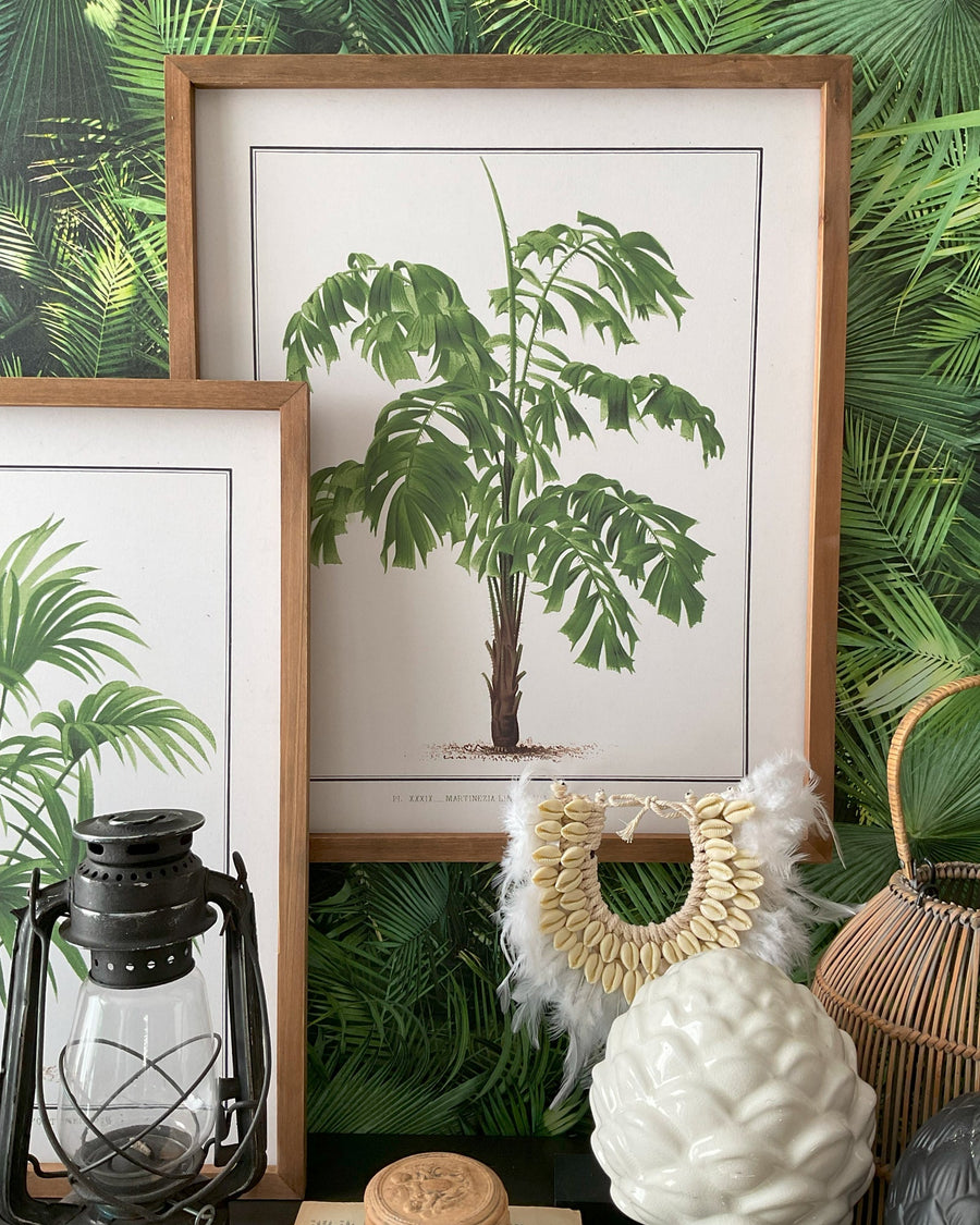 Stampe con cornice in legno Palm Tree set da 4 - OrchideaMilano1981