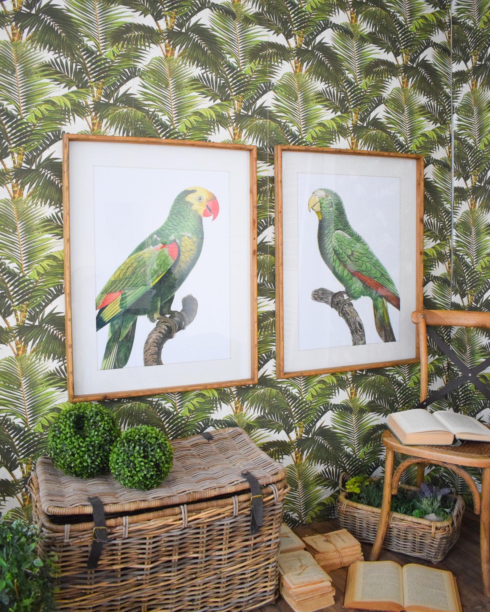Stampe con cornice in legno Parrots set da 2 - OrchideaMilano1981