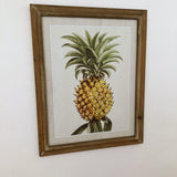 Stampe con cornice in legno Pineapple set da 2 - OrchideaMilano1981