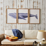 Stampe con cornice in legno Whale set da 3 - OrchideaMilano1981