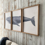 Stampe con cornice in legno Whale set da 3 - OrchideaMilano1981
