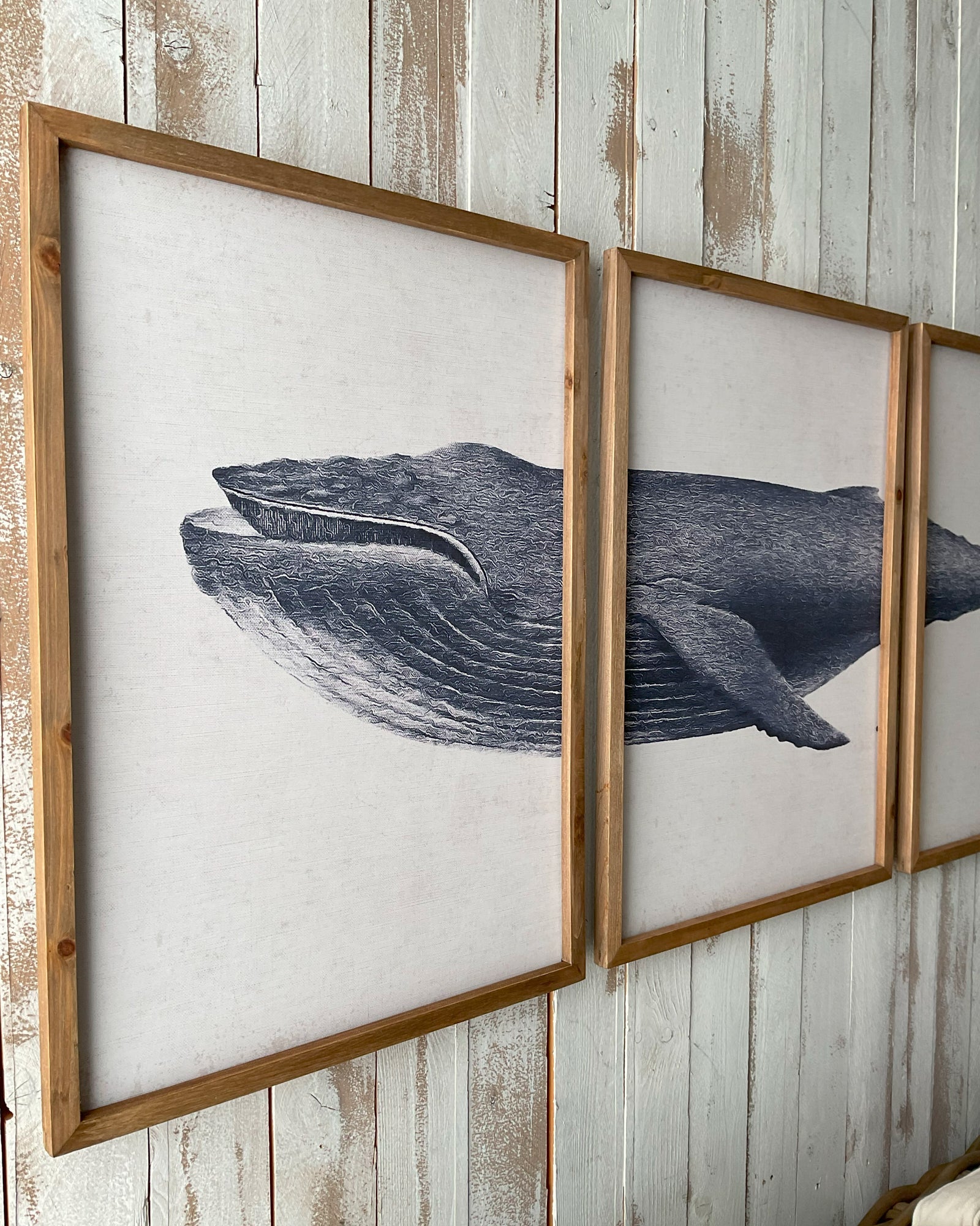Stampe con cornice in legno Whale set da 3 - OrchideaMilano1981