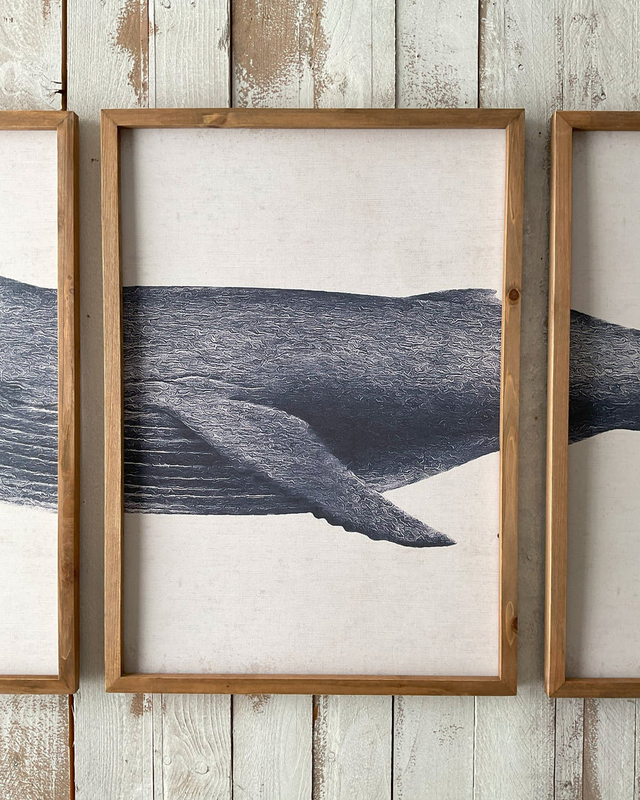 Stampe con cornice in legno Whale set da 3 - OrchideaMilano1981