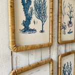 Stampe con cornice in rattan Coastal Mood set da 4 - OrchideaMilano1981