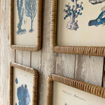 Stampe con cornice in rattan Coastal Mood set da 4 - OrchideaMilano1981