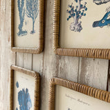 Stampe con cornice in rattan Coastal Mood set da 4 - OrchideaMilano1981