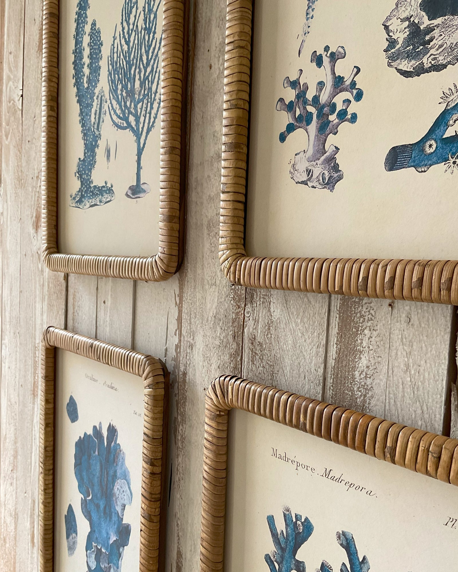 Stampe con cornice in rattan Coastal Mood set da 4 - OrchideaMilano1981