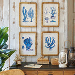 Stampe con cornice in rattan Coastal Mood set da 4 - OrchideaMilano1981