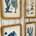 Stampe con cornice in rattan Coastal Mood set da 4 - OrchideaMilano1981