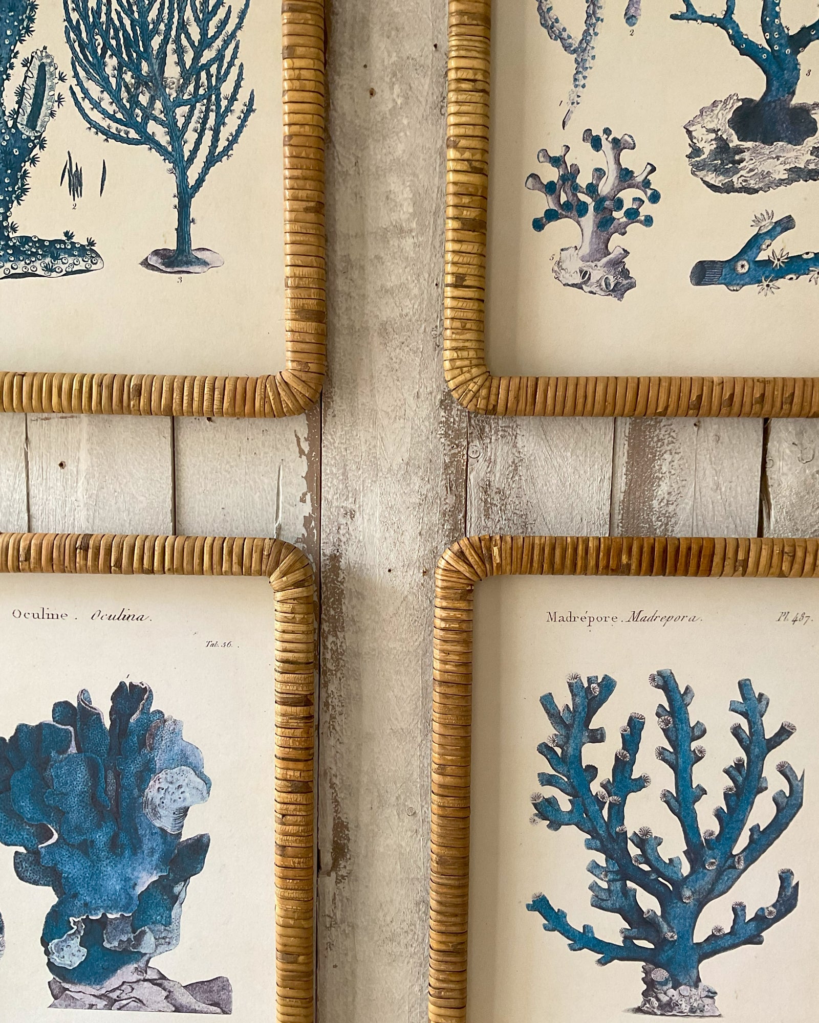 Stampe con cornice in rattan Coastal Mood set da 4 - OrchideaMilano1981