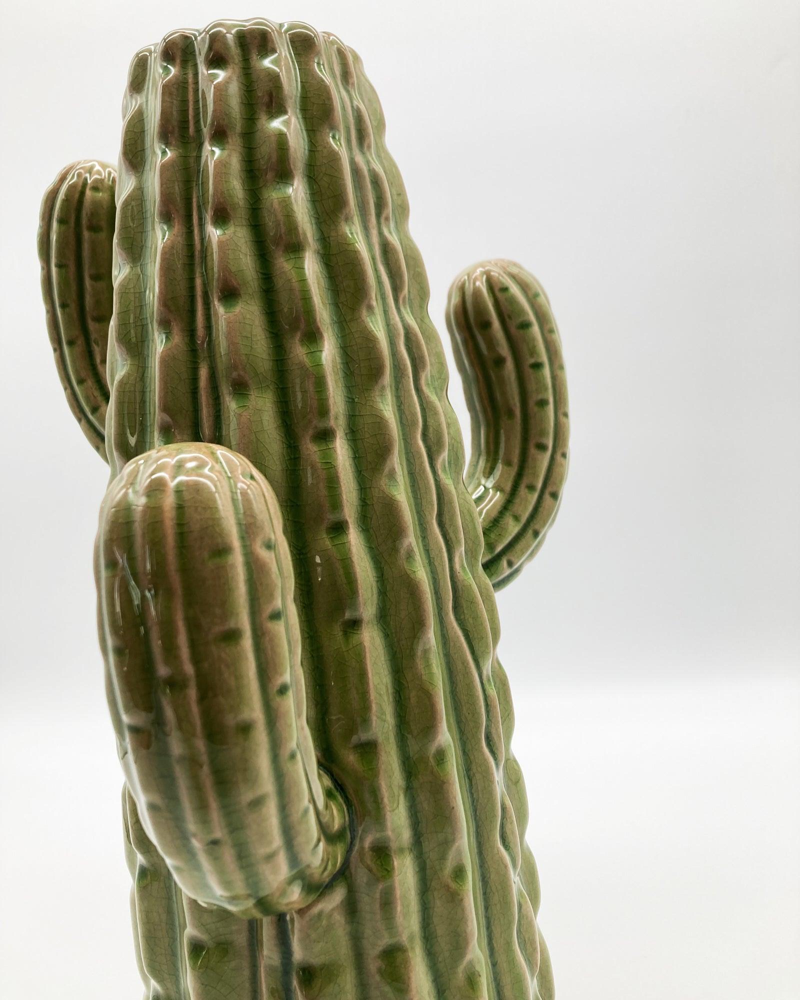 VASO CACTUS GREEN ANTIQUE - OrchideaMilano1981