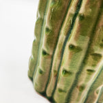 VASO CACTUS GREEN ANTIQUE - OrchideaMilano1981