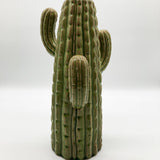 VASO CACTUS GREEN ANTIQUE - OrchideaMilano1981